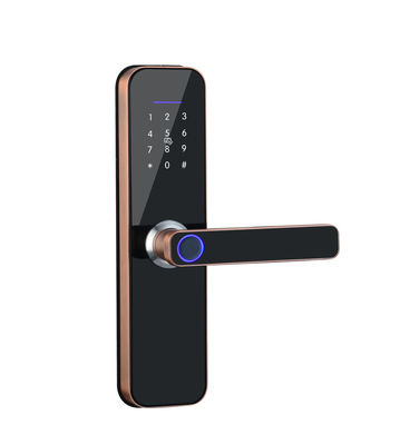 품질  Tuya Smart Door Lock Series Door Locks WIFI Fingerprint Cheap Zinc Alloy Phone Smart Door Lock Work With TT LOCK APP 공장